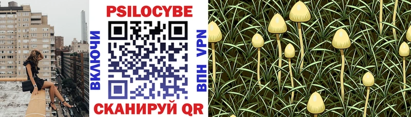 Псилоцибиновые грибы MAGIC MUSHROOMS  Звенигород 